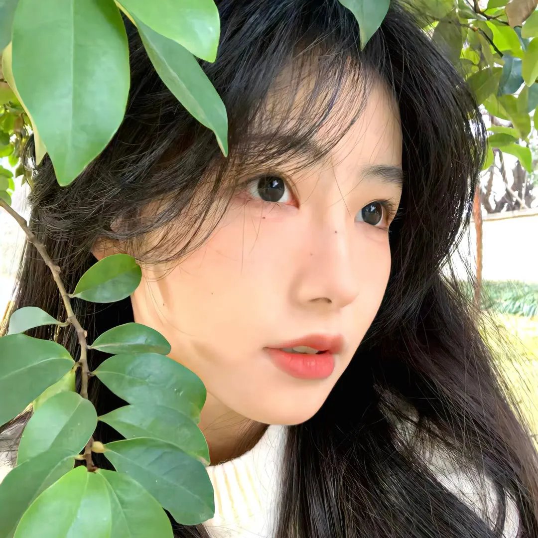 勇敢的心
